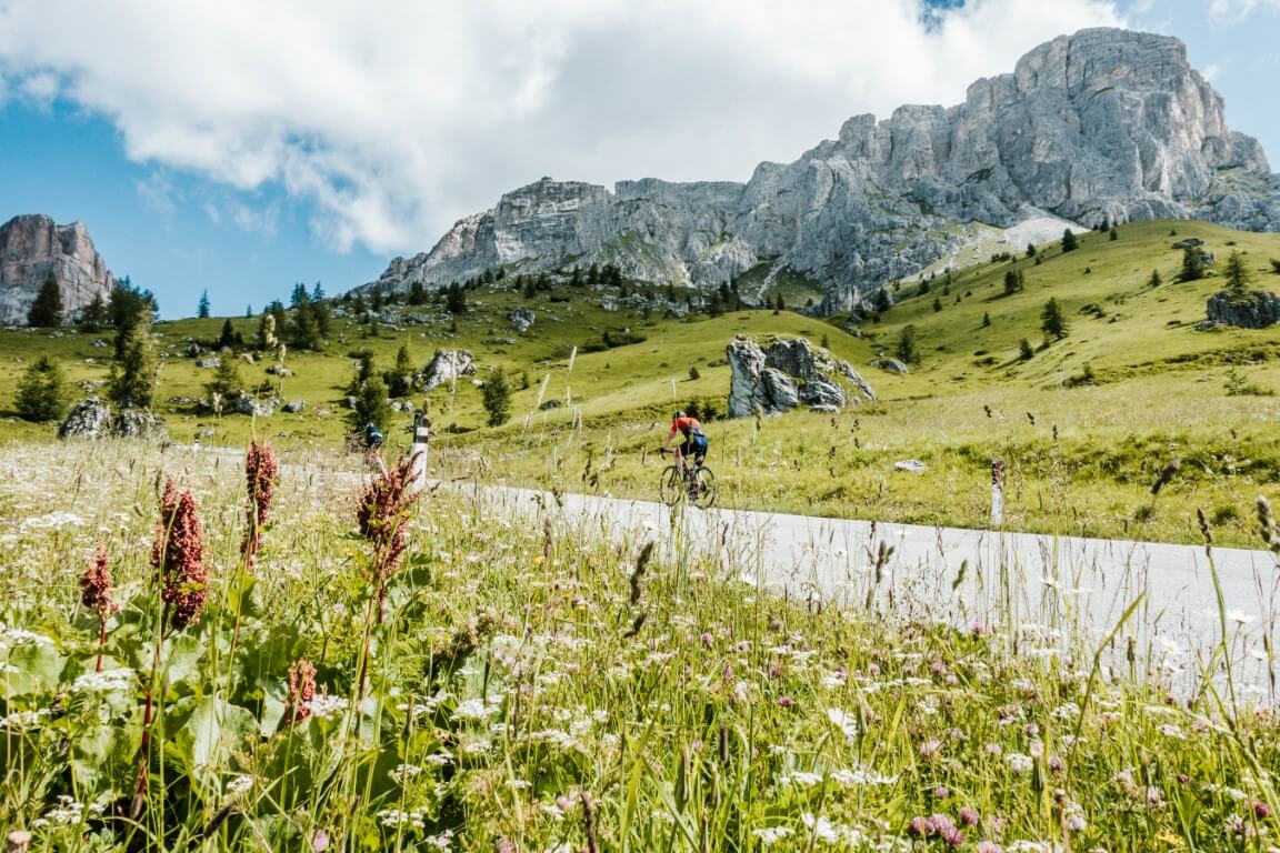 Winner small image - Bike Odyssey